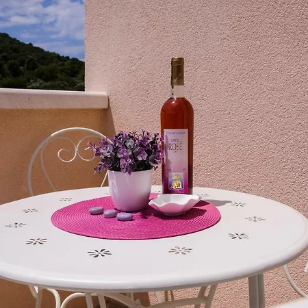 Vulini Dvori Apartment Vinisce